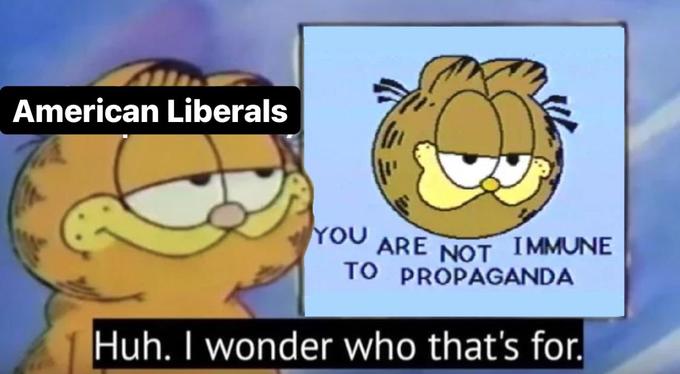 American Liberals YOU ARE NOT TO PROPAGANDA IMMUNE Huh. I wonder who that's for.