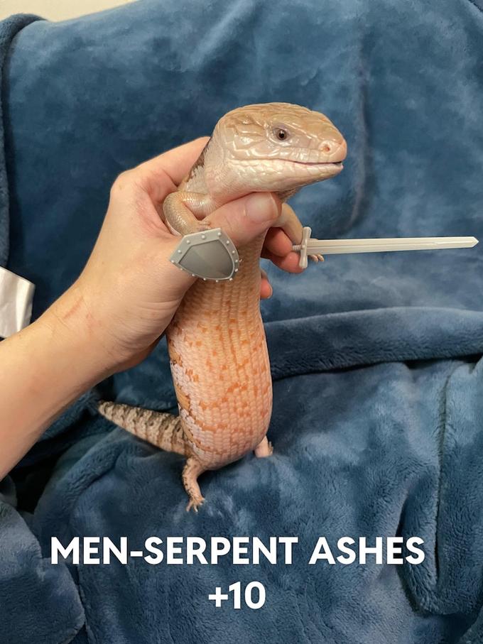 the title of this meme is what makes it 10/10