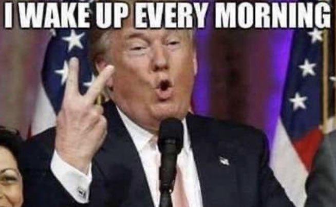 I WAKE UP EVERY MORNING