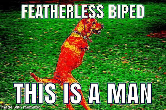 FEATHERLESS BIPED THIS IS A MAN made with mematic