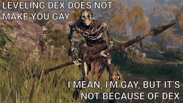 LEVELING DEX DOES NOT MAKE YOU GAY I MEAN, I'M GAY, BUT IT'S NOT BECAUSE OF DEX