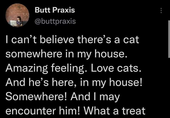Butt Praxis @buttpraxis I can't believe there's a cat somewhere in my house. Amazing feeling. Love cats. And he's here, in my house! Somewhere! And I may encounter him! What a treat