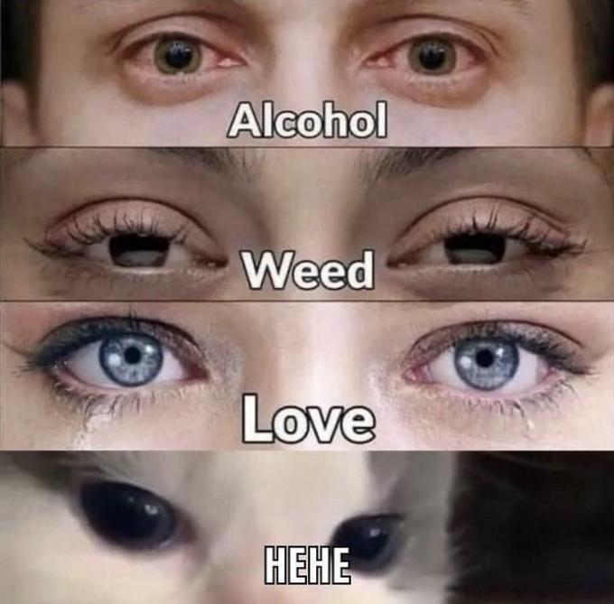 Alcohol Weed Love HEHE