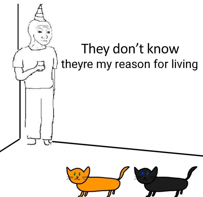 They don't know theyre my reason for living