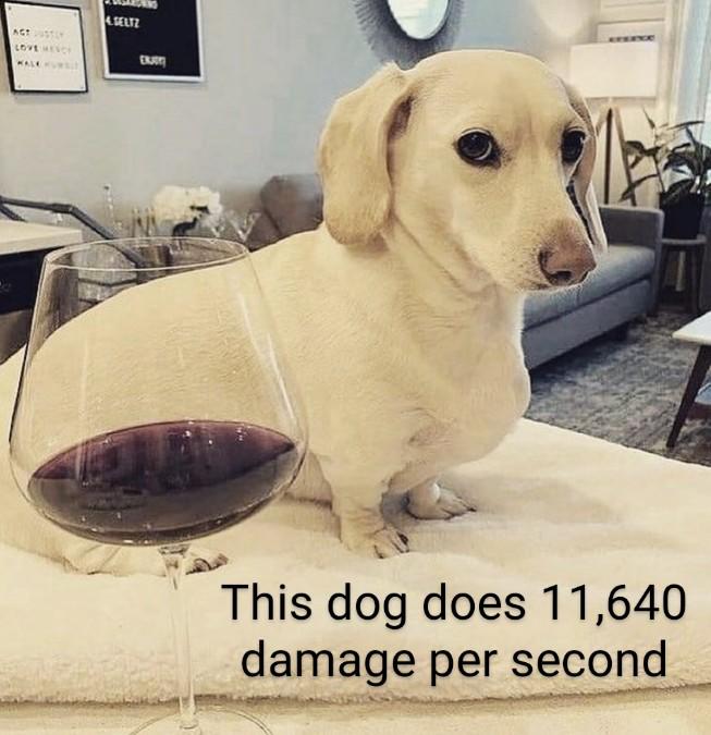 SELTZ ACts WALKUW This dog does 11,640 damage per second