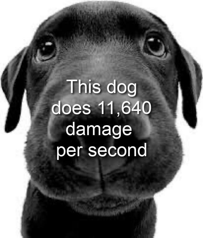 This dog does 11,640 damage per second