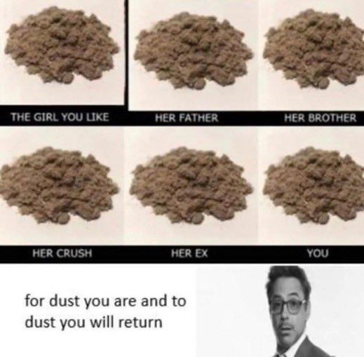 THE GIRL YOU LIKE HER FATHER HER BROTHER HER CRUSH HER EX YOU for dust you are and to dust you will return