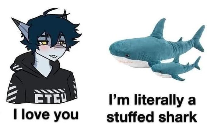 CTEU I love you I'm literally a stuffed shark