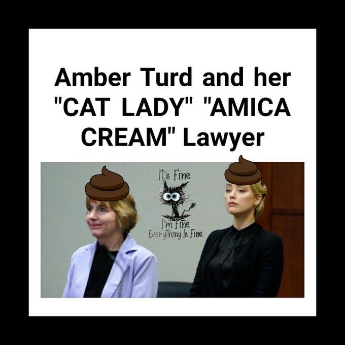Amber Turd and her "CAT LADY" "AMICA CREAM" Lawyer It's Fine CO I'm Fine Everything Is Fine