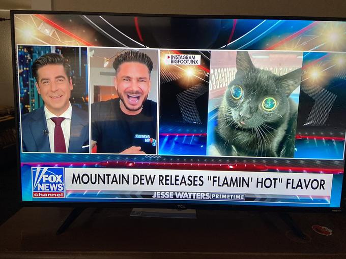 INSTAGRAM BIGFOOTJINX AL 3.5gar NETE FOX MOUNTAIN DEW RELEASES "FLAMIN' HOT" FLAVOR NEWS channel JESSE WATTERS PRIMETIME TCL ROKU TV LEGENDS