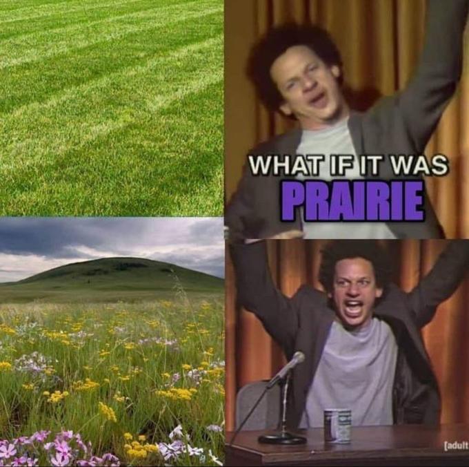 WHAT IF IT WAS PRAIRIE [adult