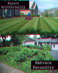 Reject Artificiality Embrace Feeundity