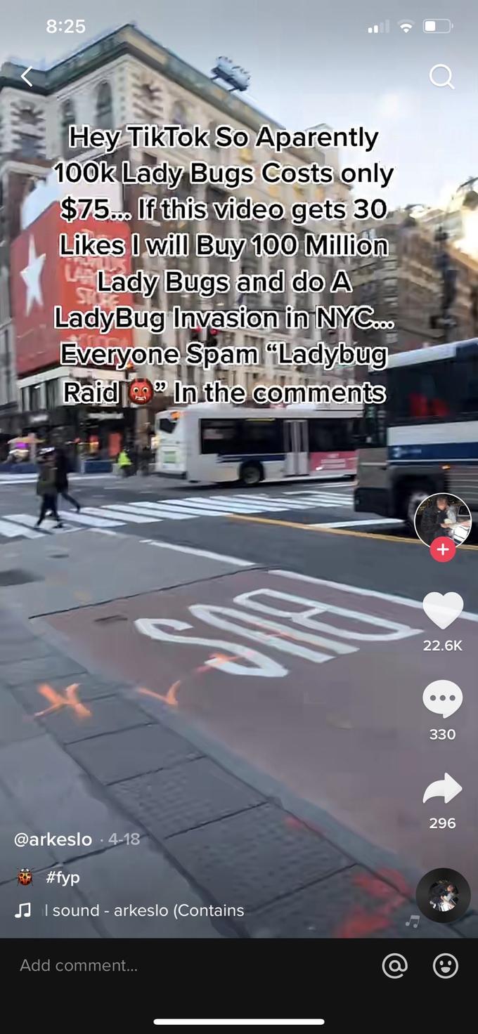 Ladybug Raid TikTok Ladybug Raid Know Your Meme