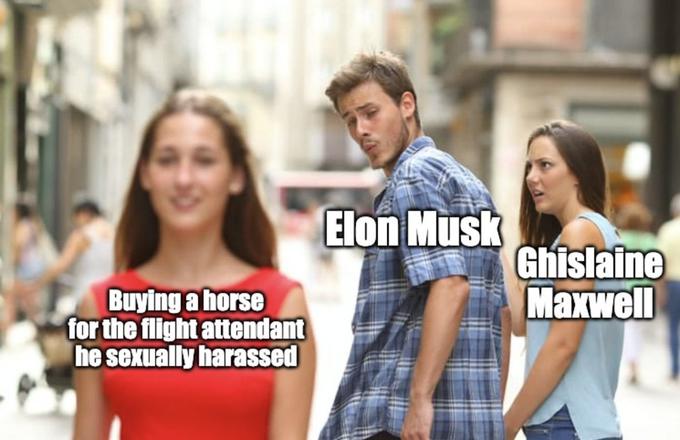 Buying a horse for the flight attendant he sexually harassed Elon Musk Ghislaine Maxwell