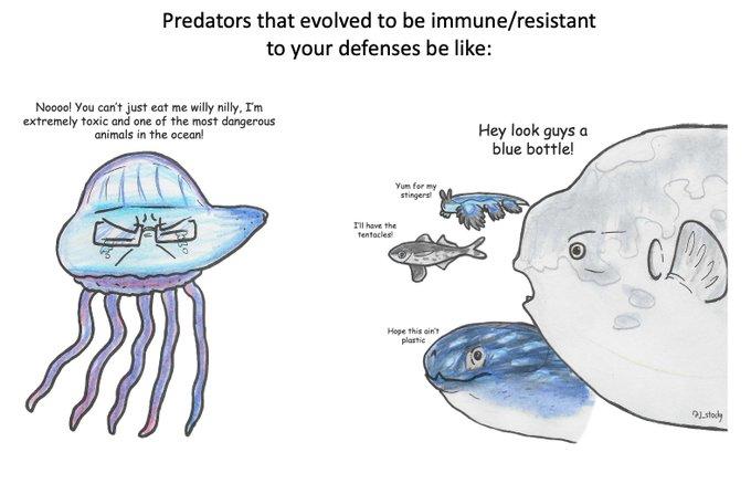 Predators that evolved to be immune/resistant to your defenses be like: Hey look guys a blue bottle! Yum for my stingers! Noooo! You can't just eat me willy nilly, I'm extremely toxic and one of the most dangerous animals in the ocean! I'll have the tentacles Hope this ain't plastic justody