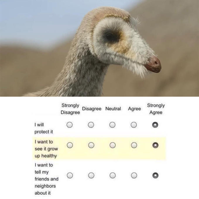I will protect it I want to see it grow up healthy I want to tell my friends and neighbors about it Strongly Disagree O Disagree Neutral Agree O O O O O Strongly Agree