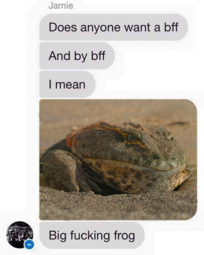 Jamie Does anyone want a bff And by bff I mean Big f------ frog
