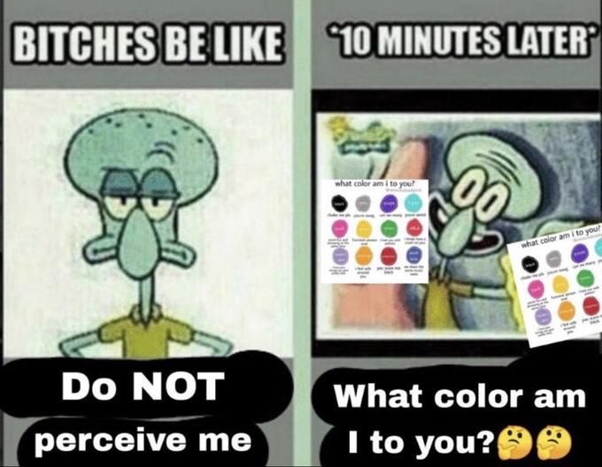 BITCHES BE LIKE 10 MINUTES LATER what color am I to you? www what color am i to you? PATO perha P DO NOT perceive me What color am I to you? 00