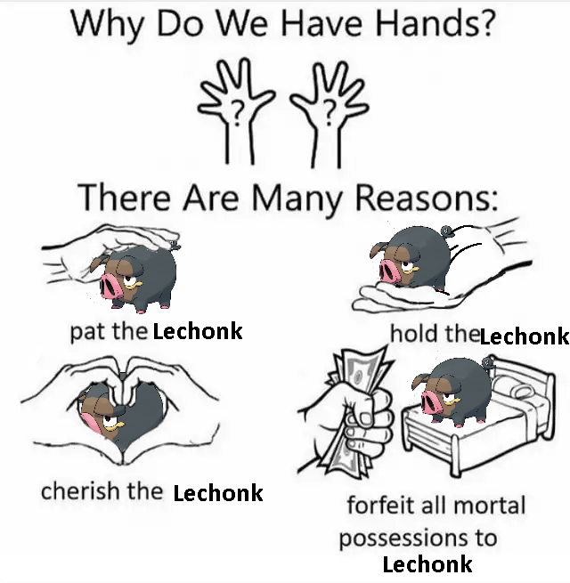 Why Do We Have Hands? ™MM There Are Many Reasons: pat the Lechonk cherish the Lechonk hold the Lechonk forfeit all mortal possessions to Lechonk