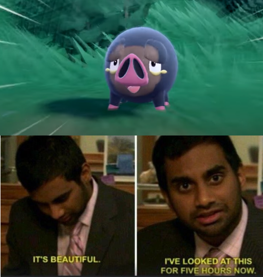 IT'S BEAUTIFUL. I'VE LOOKED AT THIS FOR FIVE HOURS NOW.