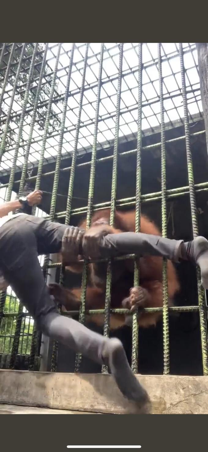 FTVE մար շարունակո