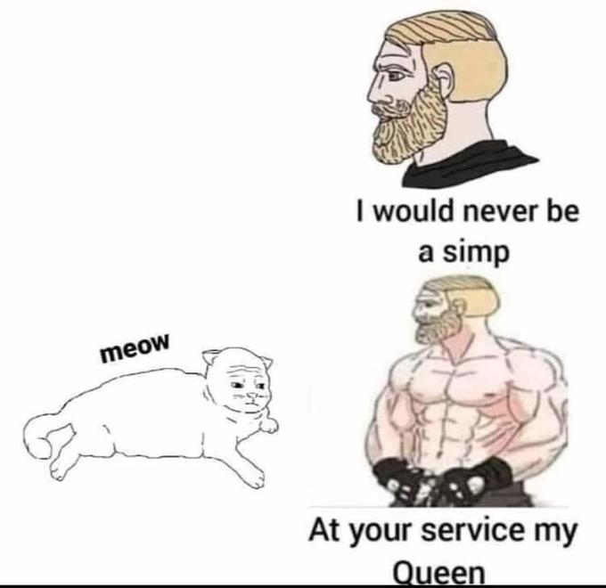 meow In I would never be a simp At your service my Queen