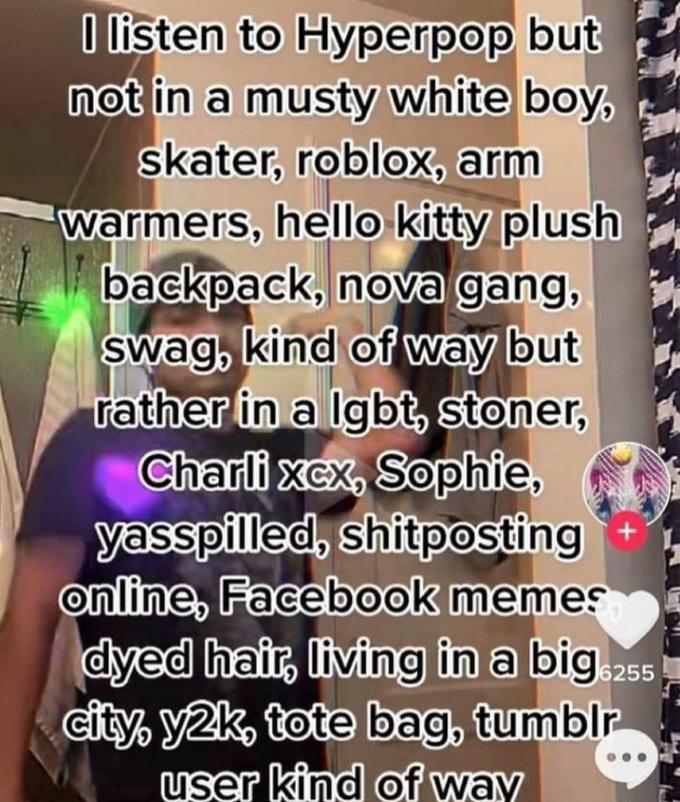 I listen to Hyperpop but not in a musty white boy, skater, roblox, arm warmers, hello kitty plush backpack, nova gang, swag, kind of way but rather in a lgbt, stoner, Charli xex, Sophie, yasspilled, shitposting online, Facebook memes 6255 dyed hair, living in a big city, y2k, tote bag, tumblr user kind of way