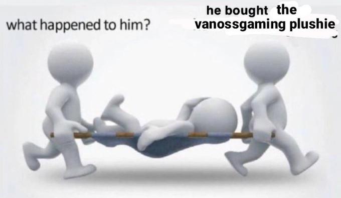 what happened to him? he bought the vanossgaming plushie