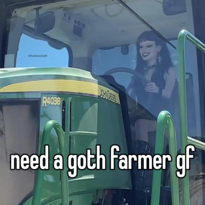 @hollowcloth R4038 need a goth farmer gf