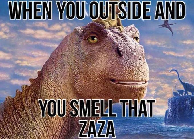 WHEN YOU OUTSIDE AND YOU SMELL THAT ZAZA