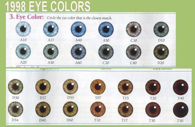 1998 EYE COLORS 3. Eye Color: Circle the eye color that is the closest match. D30 D34 A10 ww A20 A30 Fight prom D37 A17 D40 D50 D60 A40 A60 40 Beatly T07 T10 A50 C20 DIOWIE T15 T17 C30 C40 ALP Valen ZMA T20 D10 DAIN DIOWIE T30 D20 T40 T50