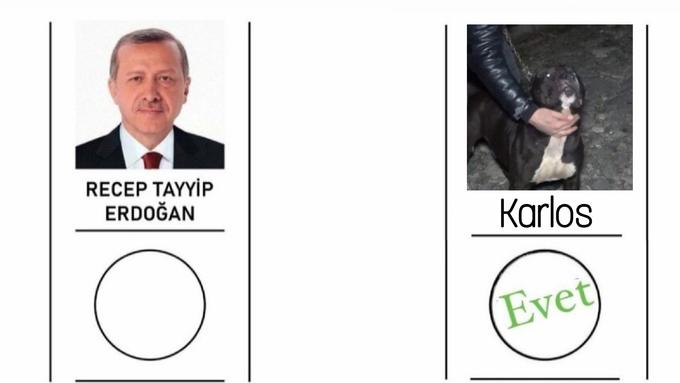 RECEP TAYYİP ERDOĞAN Karlos Evet