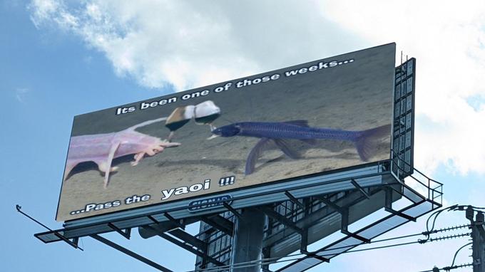 Its been one of those weeks... codPass the yaoi !!! RIGHIN