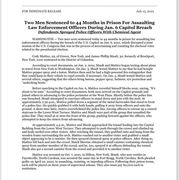 Two men just handed 44 month prison sentences for assaulting police