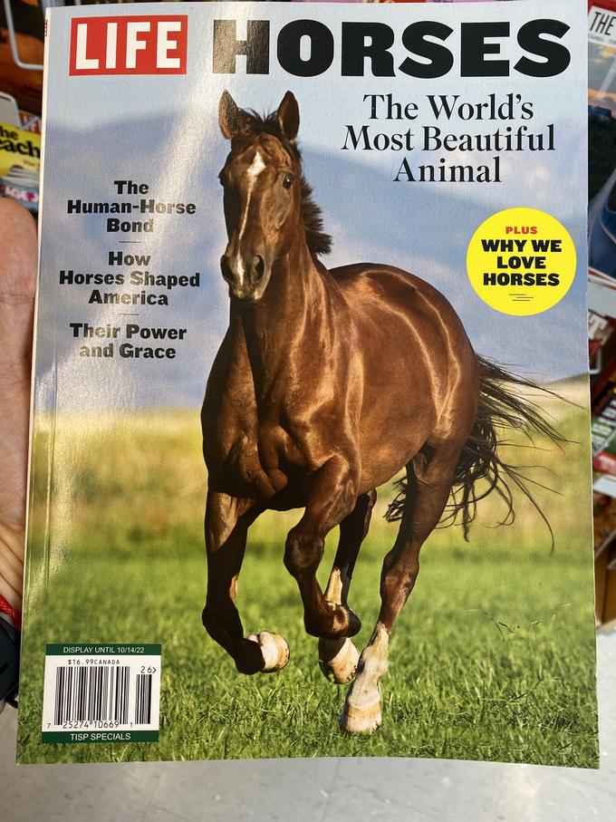 he each AGEJ LIFE HORSES The World's Most Beautiful Animal The Human-Horse Bond How Horses Shaped America Their Power and Grace DISPLAY UNTIL 10/14/22 $16.99CANADA 25274 10669 1 TISP SPECIALS 26> PLUS WHY WE LOVE HORSES THE STANBUL-TOHT