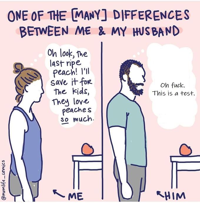 @momlife_comics ONE OF THE [MANY] DIFFERENCES BETWEEN ME & MY HUSBAND Oh look, the last ripe peach! I'll save it for The kids, They love peaches so much. - ME Oh f---. This is a test. KHIM