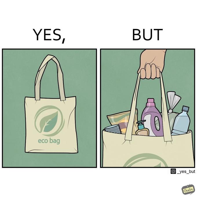 YES, eco bag BUT O_yes_but Gudim.