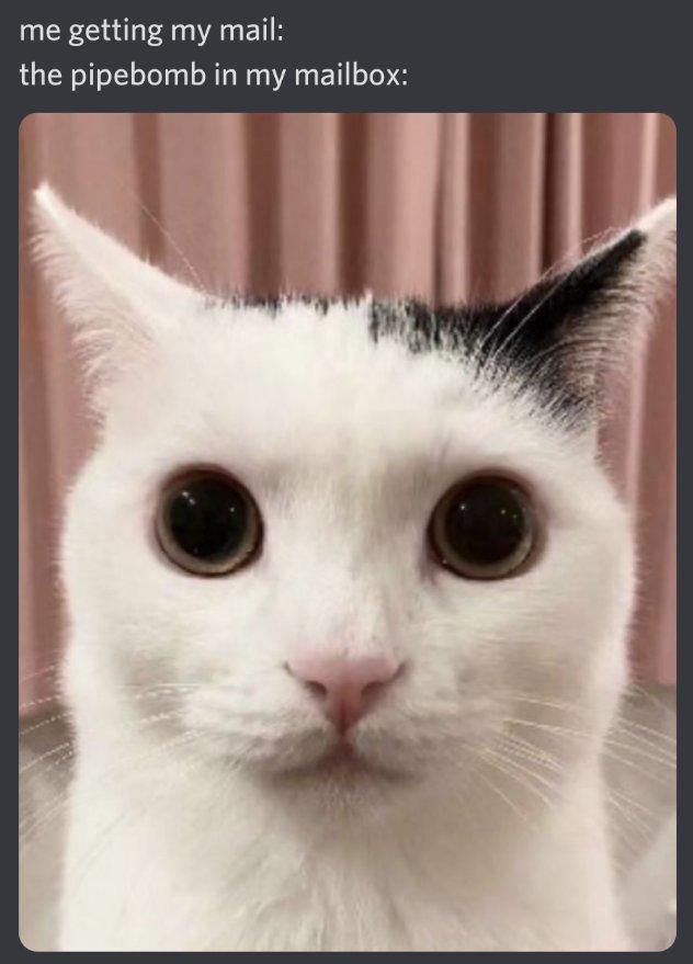 me getting my mail: the pipebomb in my mailbox: