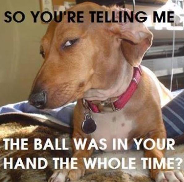 SO YOU'RE TELLING ME THE BALL WAS IN YOUR HAND THE WHOLE TIME?