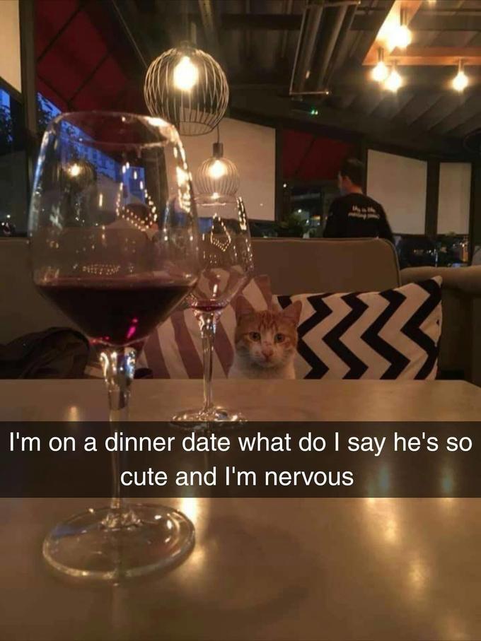 I m On A Dinner Date What Do I Say He s So Cute Know Your Meme