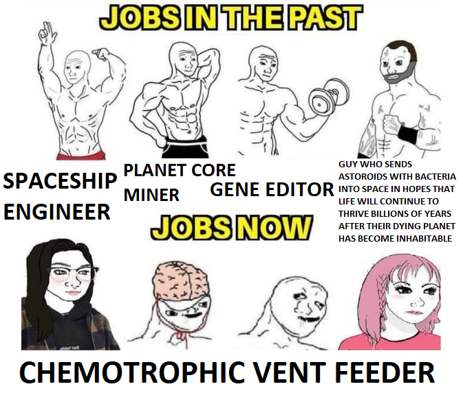 JOBS IN THE PAST SPACESHIP ENGINEER GUY WHO SENDS ASTOROIDS WITH BACTERIA GENE EDITOR INTO SPACE IN HOPES THAT LIFE WILL CONTINUE TO THRIVE BILLIONS OF YEARS AFTER THEIR DYING PLANET HAS BECOME INHABITABLE PLANET CORE MINER JOBS NOW CHEMOTROPHIC VENT FEEDER