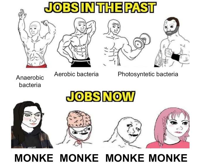 Anaerobic bacteria JOBS IN THE PAST Aerobic bacteria Photosyntetic bacteria JOBS NOW MONKE MONKE MONKE MONKE