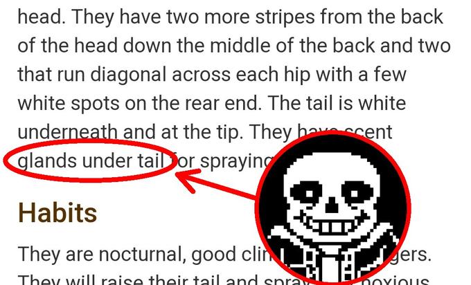 Sans Undertale Glands Under Tail (meme) | Name Soundalikes | Know Your Meme