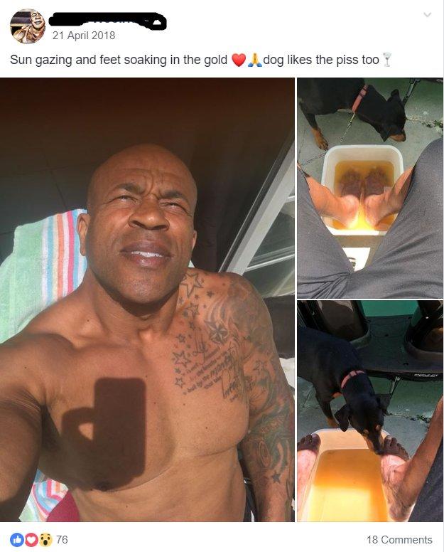 21 April 2018 Sun gazing and feet soaking in the gold dog likes the piss too 76 18 Comments