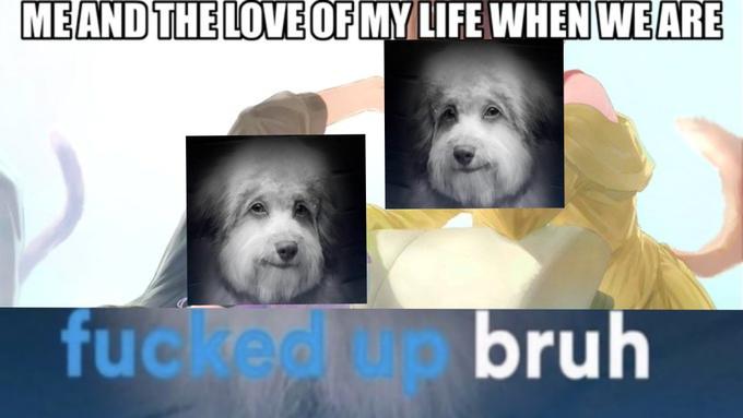 ME AND THE LOVE OF MY LIFE WHEN WE ARE f----- up bruh