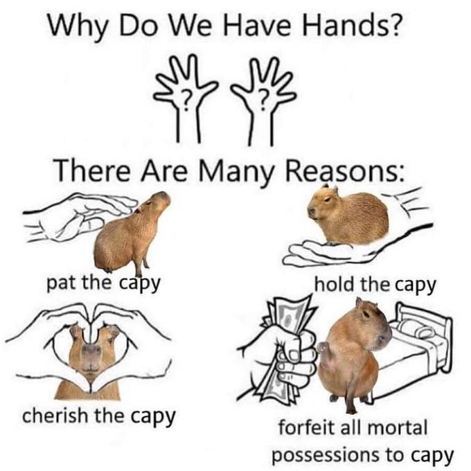 Why Do We Have Hands There Are Many Reasons Know Your Meme Why Do We Have Hands There Are Many Reasons Know Your Meme