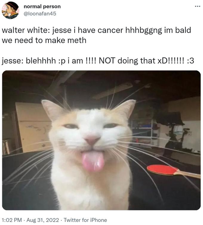 normal person @loonafan45 walter white: jesse i have cancer hhhbggng im bald we need to make meth jesse: blehhhh :p i am !!!! NOT doing that xD!!!!!! :3 1:02 PM. Aug 31, 2022. Twitter for iPhone ...