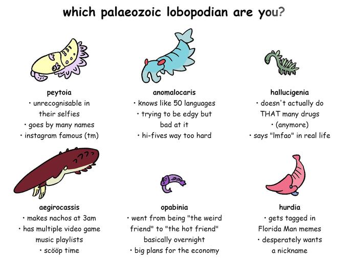 which palaeozoic lobopodian are you? ● peytoia • unrecognisable in their selfies • goes by many names • instagram famous (tm) ??? aegirocassis makes nachos at 3am • has multiple video game music playlists • scööp time & anomalocaris • knows like 50 languages ● • trying to be edgy but bad at it • hi-fives way too hard opabinia • went from being "the weird friend" to "the hot friend" basically overnight • big plans for the economy MMM vara hallucigenia • doesn't actually do THAT many drugs • (anymore) says "Imfao" in real life hurdia • gets tagged in Florida Man memes • desperately wants a nickname