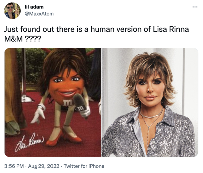 Lisa Rinna M M Know Your Meme