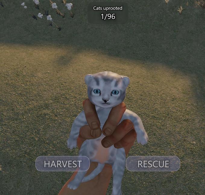 HARVEST Cats uprooted 1/96 RESCUE